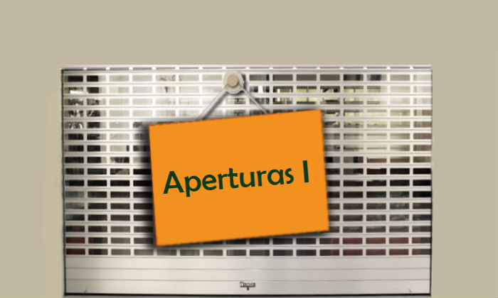 Imagen de portada del curso Proyectos de Aperturas I