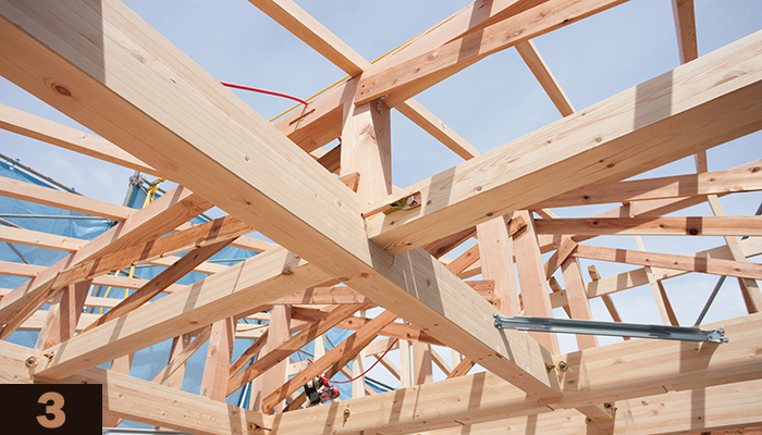 Imagen de portada del curso Madera en construcción. Módulo 3: Patologías y durabilidad de la madera
